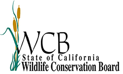 wCB logo
