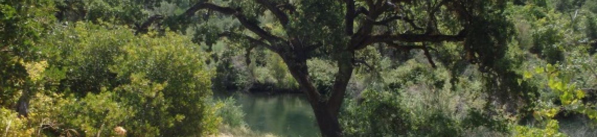 Putah Creek image