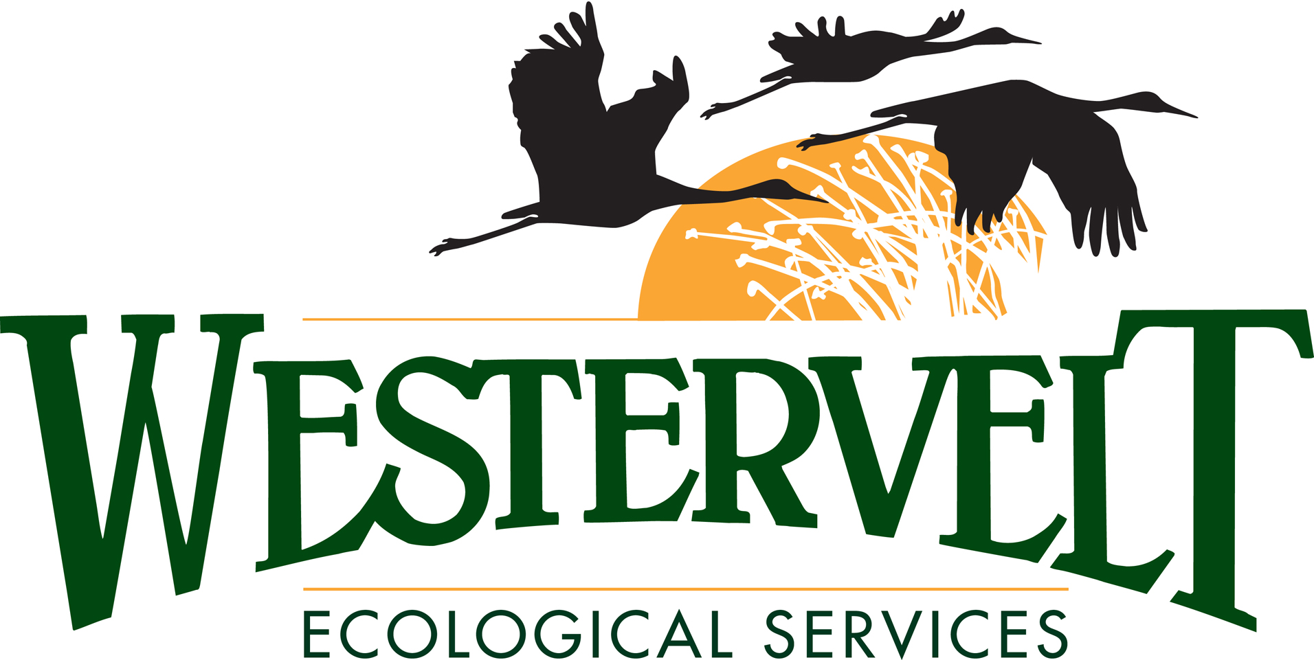 Westervelt logo