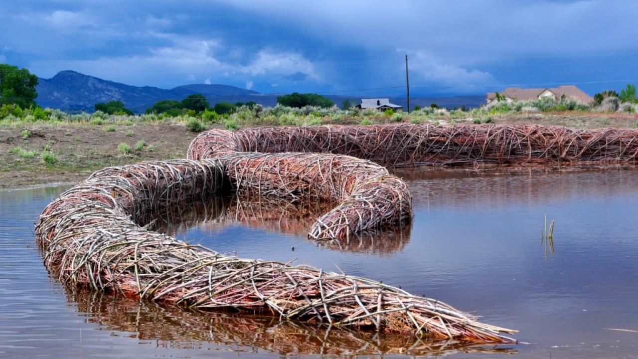 Flood plain wall