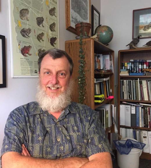 Gordon Leppig image